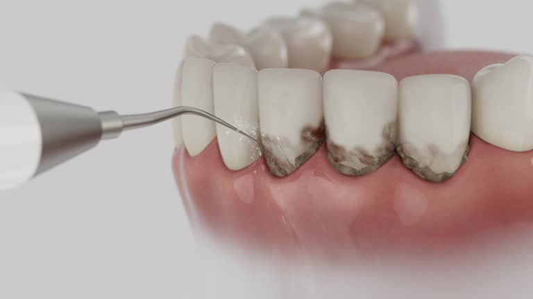 Reliable Dental contractor in Rio Grande, OH by Dentist Open Now